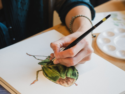 Insecten en planten tekenen met inkt en aquarelverf 